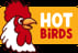 Hot Birds