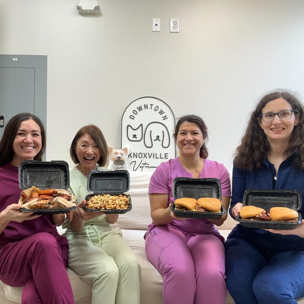 Four women in scrubs happily hold open containers of Hot Birds fried chicken and sides.